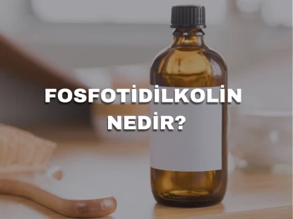 Fosfotidilkolin Nedir?