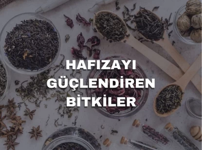 Hafızayı Güçlendiren Bitkiler