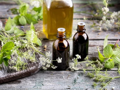 Zihninize Doğal Detoks: Exam Plus ile Sınavları Akılda Tutun!